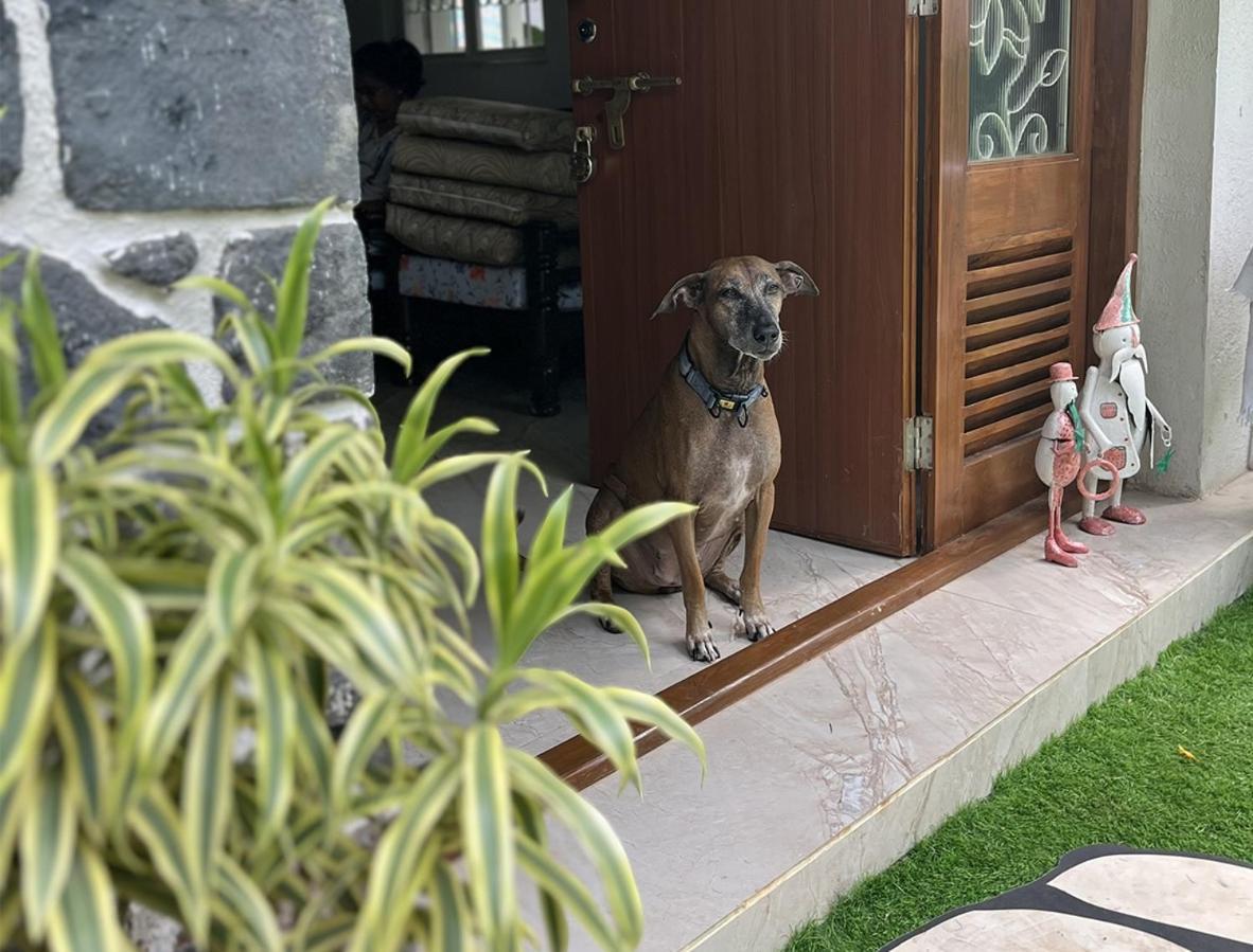 Angel House -Your Private Pet Friendly Haven Лонавала Экстерьер фото